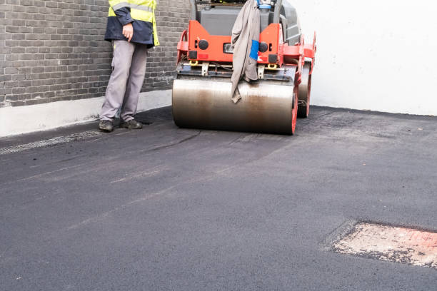 Best Recycled Asphalt Driveway Installation  in Forest Lake, MN